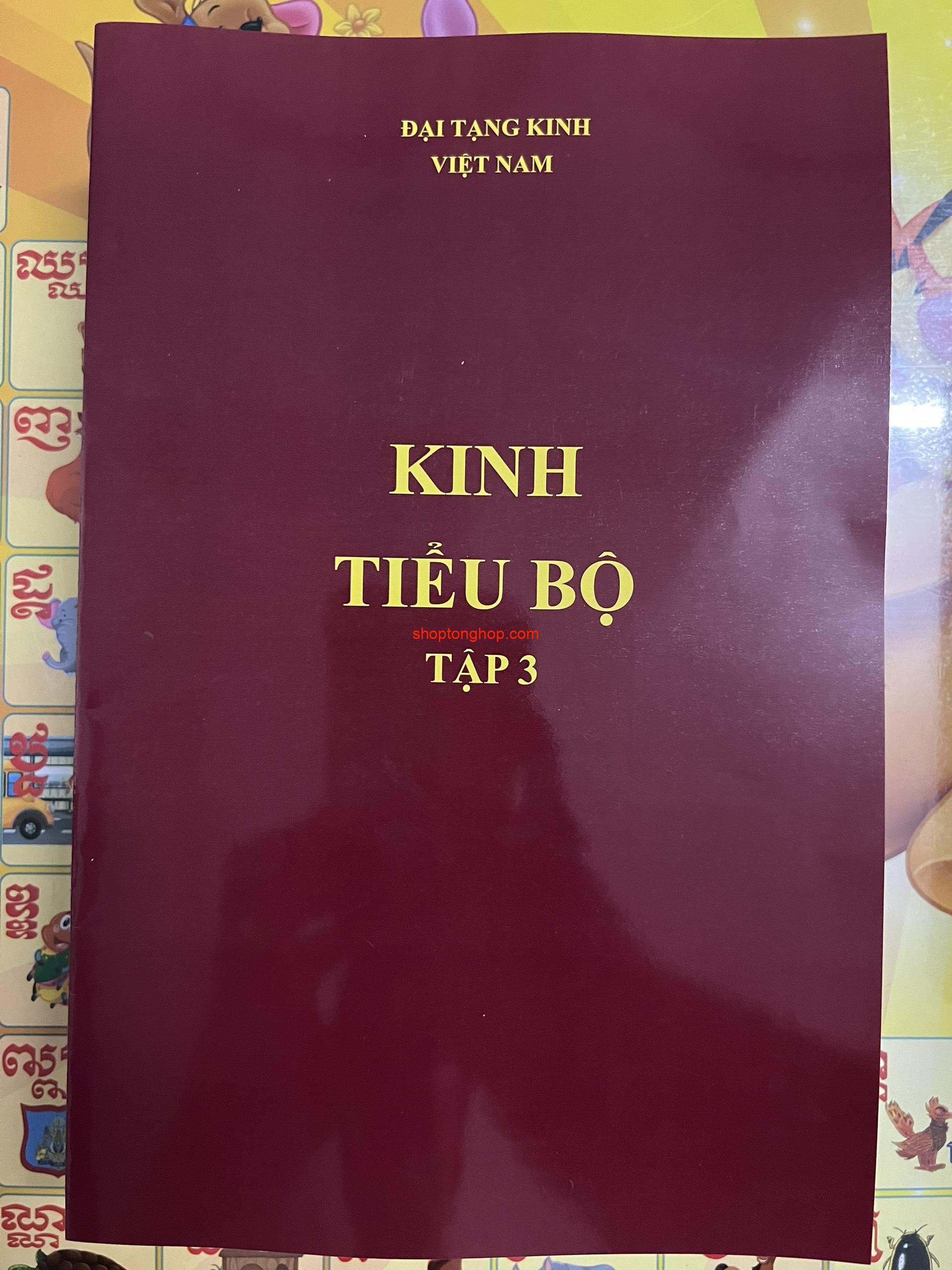 KINH TIỂU BỘ TẬP 3