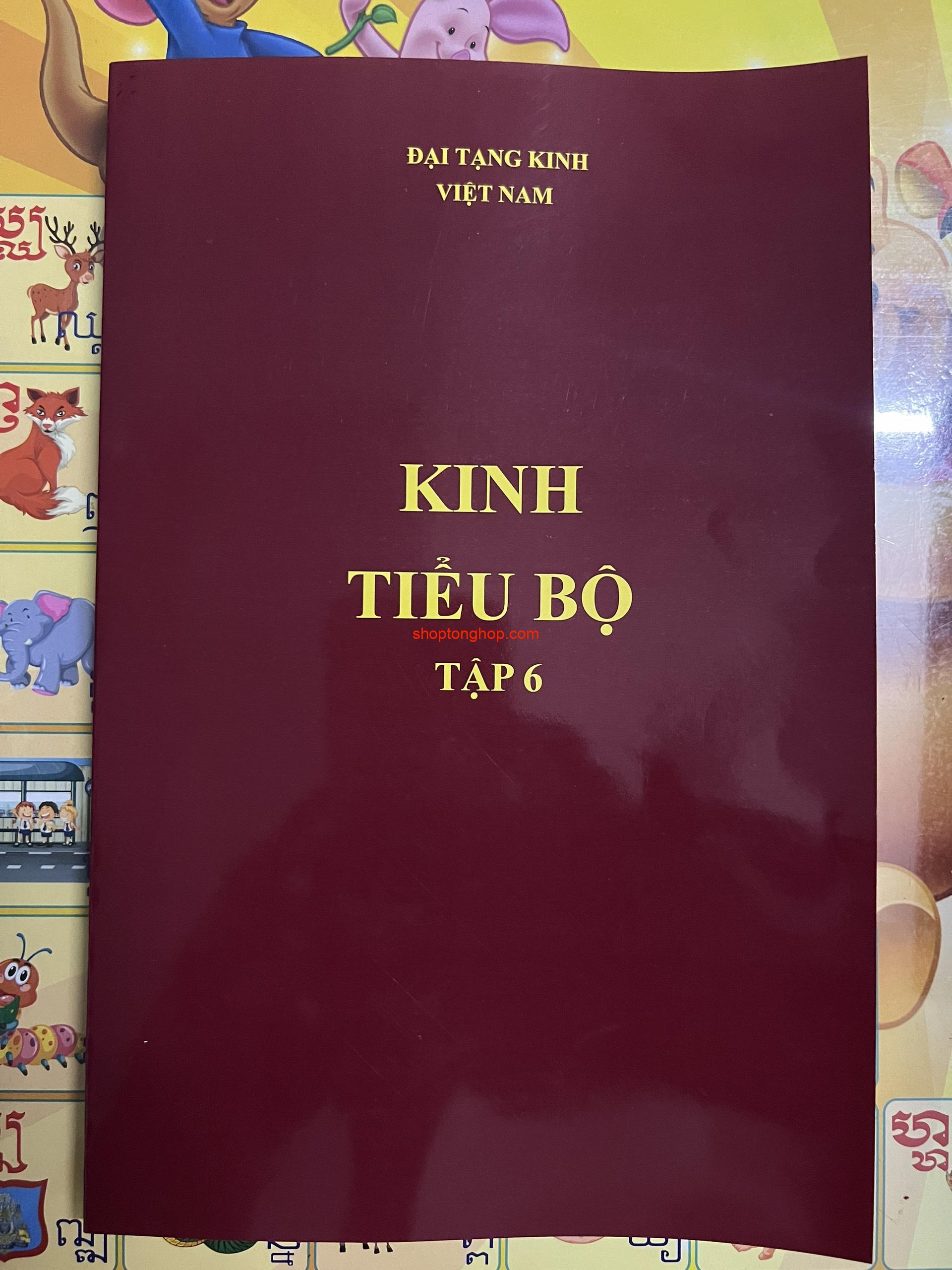 KINH TIỂU BỘ TẬP 6
