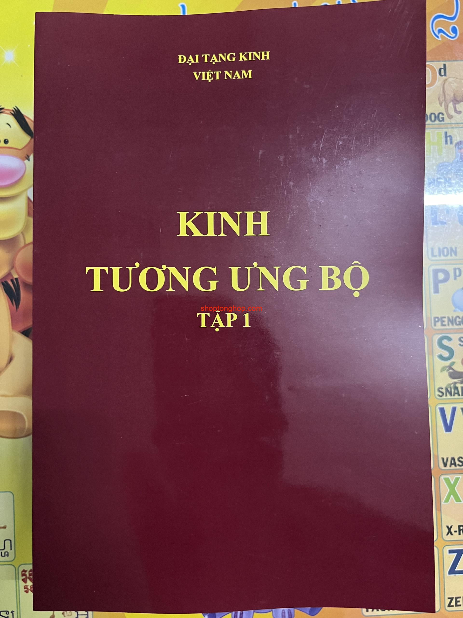 KINH TƯƠNG ƯNG BỘ TẬP 1
