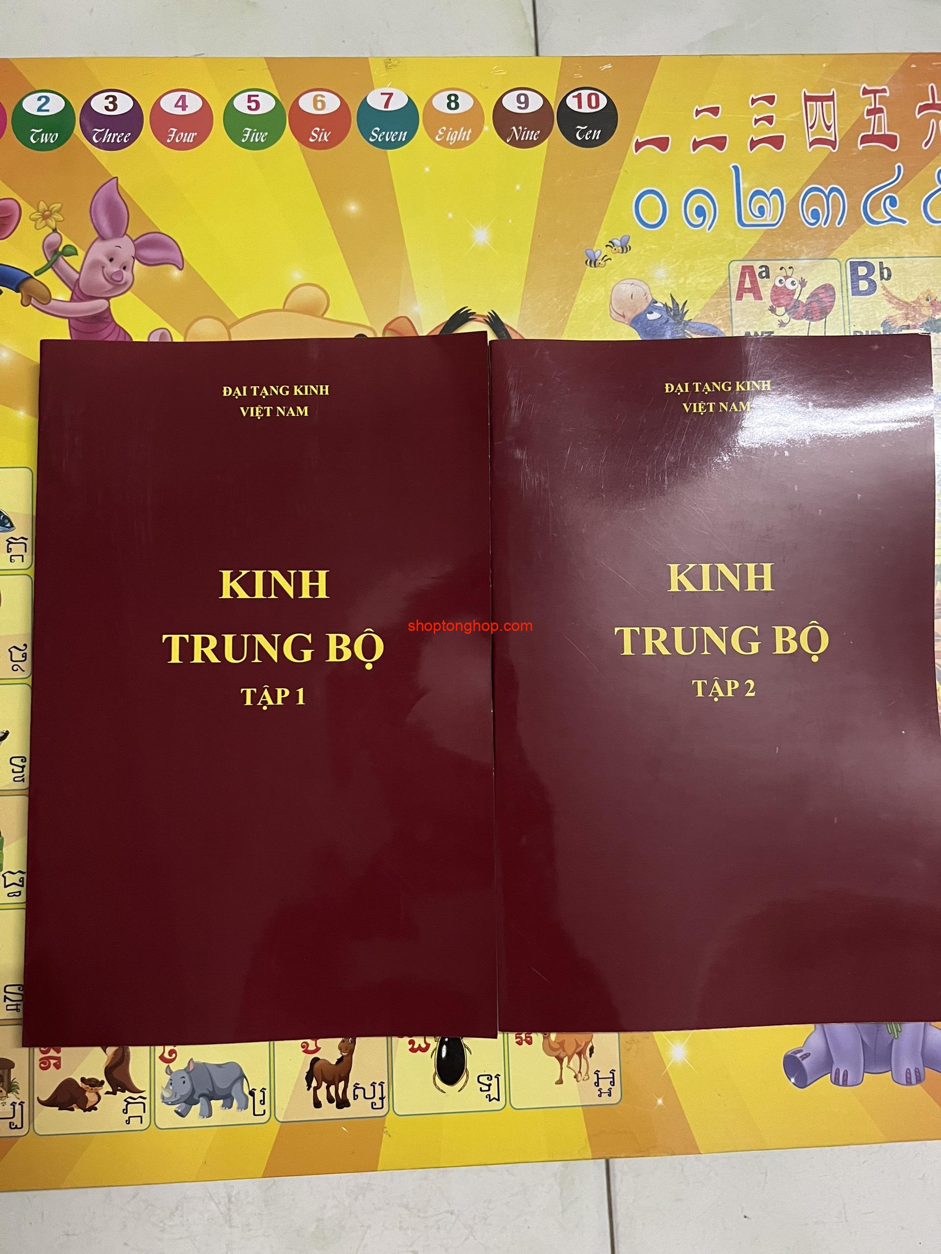 You are currently viewing Đại Tạng Kinh NIKAYA – Trọn bộ 13 cuốn